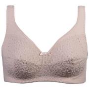 Damella BH Classic Soft Lace Bra Pudder B 85 Dame