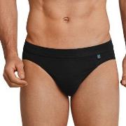 Schiesser Long Life Cotton Rio Brief Svart bomull Large Herre