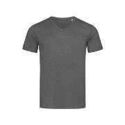 Stedman Ben V-neck For Men Mørkgrå  ringspunnet bomull XX-Large Herre