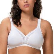 Triumph BH Modern Lace Cotton Soft Bra Hvit D 100 Dame