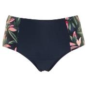 Missya Milano Bikini Maxi Brief Blå/Rosa 38 Dame