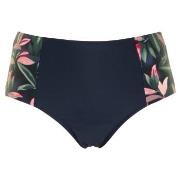 Missya Milano Bikini Maxi Brief Blå/Rosa 44 Dame