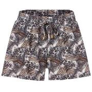 Trofe Mix Bikini Wildlife Swimwear Shorts Svart mønstret 38 Dame