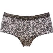 Trofe Laila Brief Truser Svart Large Dame