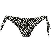 Rosa Faia Summer Dot Bikini Bottom Svart/Hvit 42 Dame