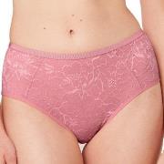 Triumph Truser Amourette Charm T Maxi 02 Rosa 42 Dame