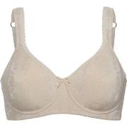 Swegmark BH Adamo Padded Soft Wired Bra Beige B 70 Dame