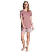 Calida Lovely Nights Short Pyjama Rosa Mønster bomull Small Dame