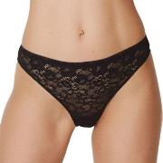 Marie Jo Truser Color Studio Lace Thong Svart 36 Dame