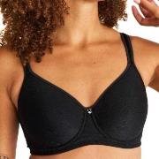 Swegmark BH Adamo Shape Padded Cup Wire Bra Svart polyamid B 75 Dame