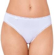 Sloggi Truser 3P 24 7 Cotton Lace Tai Briefs Hvit bomull 38 Dame