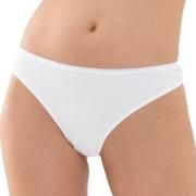 Mey Truser Organic Cotton Mini Briefs Hvit bomull X-Large Dame