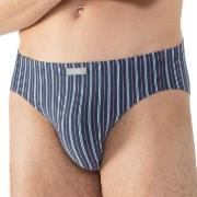 Mey Varied Stripe Jazz Briefs Mixed bomull XX-Large Herre