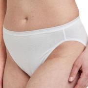 Decoy Truser 5P Tai Briefs Hvit økologisk bomull XX-Large Dame