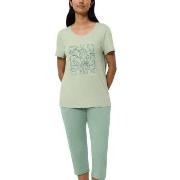 Triumph PK 02 Capri Pyjama Set Grønn bomull 42 Dame