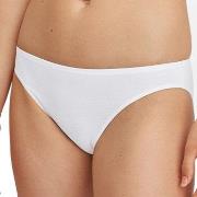 Calida Truser Essential Cotton Low Cut Brief Hvit bomull Medium Dame