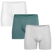 Pierre Robert 3P For Men Boxers Blå/Grå økologisk bomull XX-Large Herr...