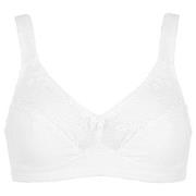 Damella BH Felice Soft Bra Hvit bomull C 70 Dame
