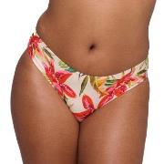 PrimaDonna Tanzania Bikini Rio Briefs Mixed 38 Dame