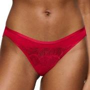 Triumph Truser Palina Moonlight Kiss Brazilian Brief Rød polyamid 40 D...