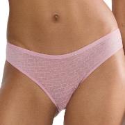 Triumph Truser Signature Sheer Tai Brief Gammelrosa 40 Dame