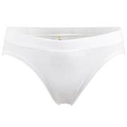 Damella Truser Brief 17567 Midi Hvit bomull Small Dame