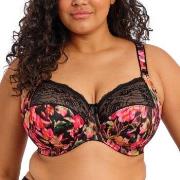 Elomi BH Morgan Banded Bra Blomstret M 80 Dame