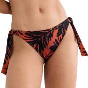 Triumph Summer Palm Tai Bikini Bottom Mixed 38 Dame