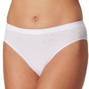 Schiesser Truser Pure Rib Organic Cotton Rio Briefs Hvit 42 Dame