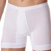 Schiesser Fine Rib Underpants 3XL-6XL Hvit bomull 4XL Herre