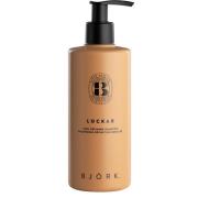 Björk LOCKAR Curl Defining Shampoo - 300 ml