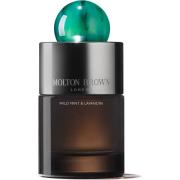 Molton Brown Wild Mint & Lavandin Eau de Parfum - 100 ml