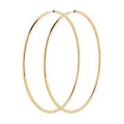 Senorita 70 Hoops