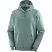 Men's Salomon Logo Pride Hoodie North Atlantic