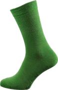 Avignon Real Socks Light Green