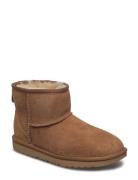 K Classic Mini Ii Snørestøvletter Støvletter Brown UGG