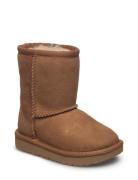 T Classic Ii Snørestøvletter Støvletter Brown UGG