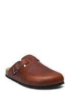 Carter Slippers Tøfler Brown Axelda