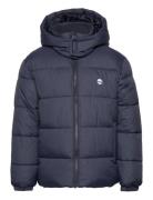 Puffer Jacket Fôret Jakke Navy Timberland