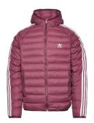 Pad Hooded Puff Fôret Jakke Purple Adidas Originals