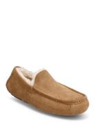 M Ascot Slippers Tøfler Beige UGG