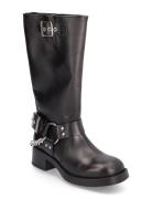 Beau-C Boot Høye Støvletter Black Steve Madden