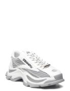 Zoomz Sneaker Lave Sneakers White Steve Madden