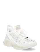 Maxima-R Sneaker Lave Sneakers White Steve Madden