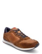 Edmond Lave Sneakers Brown Lloyd