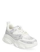 Jprivy Sneaker Lave Sneakers White Steve Madden