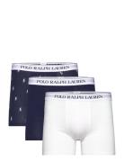 Stretch Cotton Boxer Brief 3-Pack Boksershorts Navy Polo Ralph Lauren ...