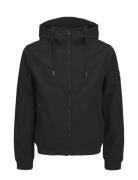 Jjebasic Softshell Hood Noos Tynn Jakke Black Jack & J S