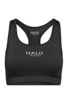 Halo Womens Bratop Lingerie Bras & Tops Sports Bras - All Black HALO