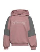 Hmlboxline Hoodie Sport Sweat-shirts & Hoodies Hoodies Pink Hummel